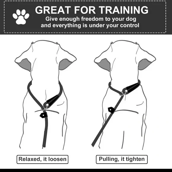 Dog Slip Nylon Leash 🪢 CHOOSE COLOR~ 5 Feet Long Black/Red/Blue - Picture 3 of 8